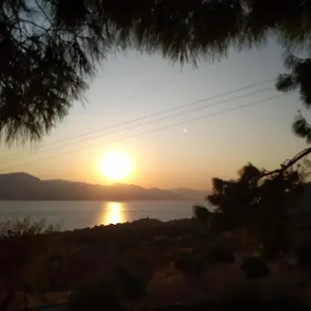 Arsinoe *
