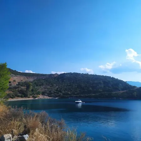 Arsinoe بيت ضيافة 4*
